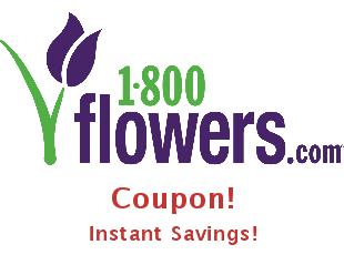 Save Big on Flowers - Up to 50% Off!